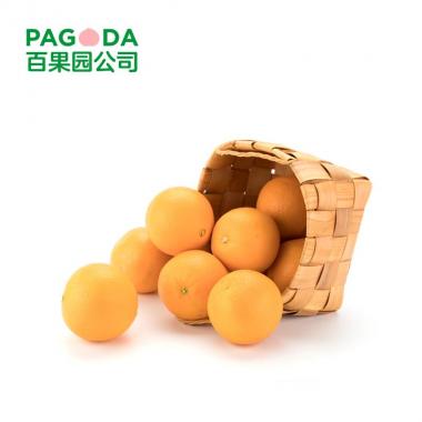 进口甜橙（中）2.7-3kg单果直径75mm-85mm